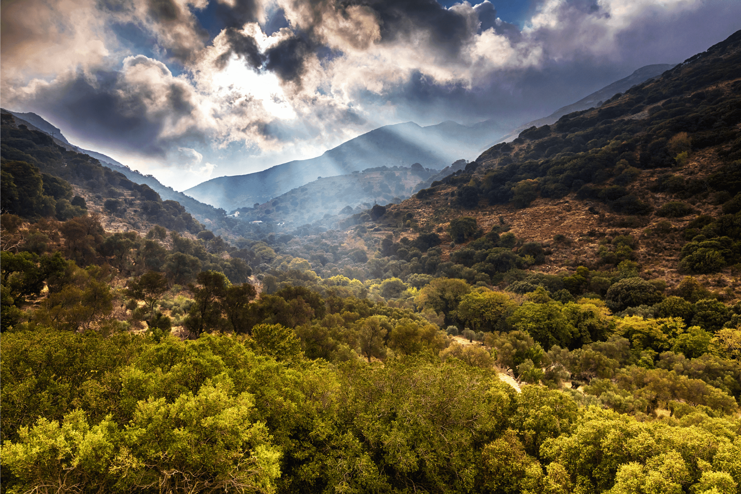 CRETE